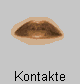  Kontakte 