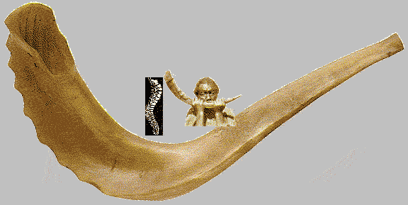 Abb.2: man beachte die selbe gewundene Kundalini-Struktur praktisch überall